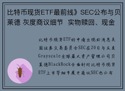 比特币现货ETF最前线》SEC公布与贝莱德 灰度商议细节  实物赎回、现金赎回