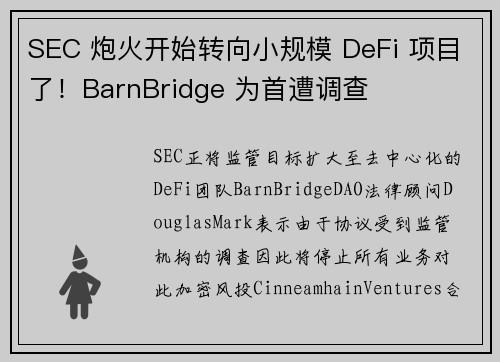 SEC 炮火开始转向小规模 DeFi 项目了！BarnBridge 为首遭调查